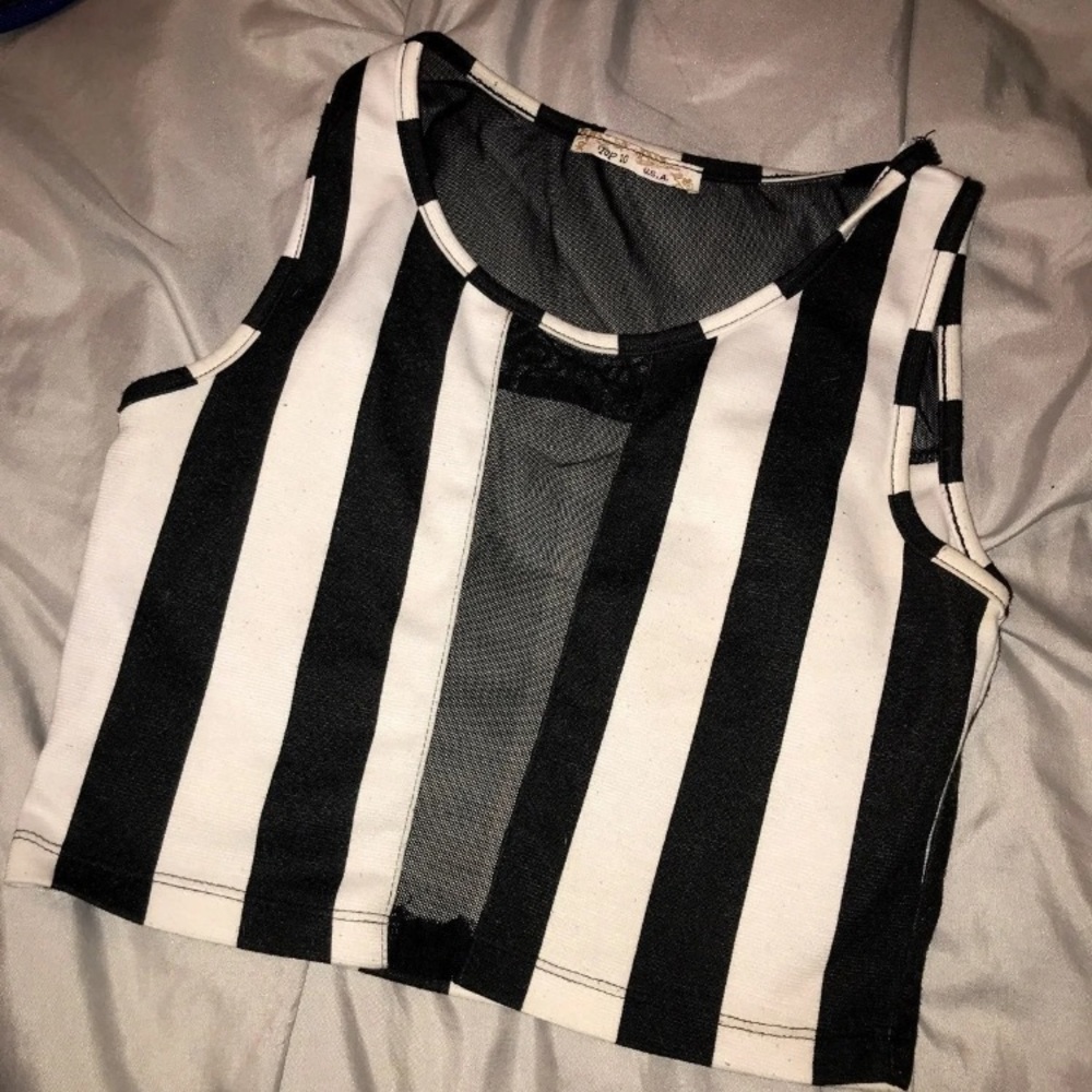 striped mesh croptop